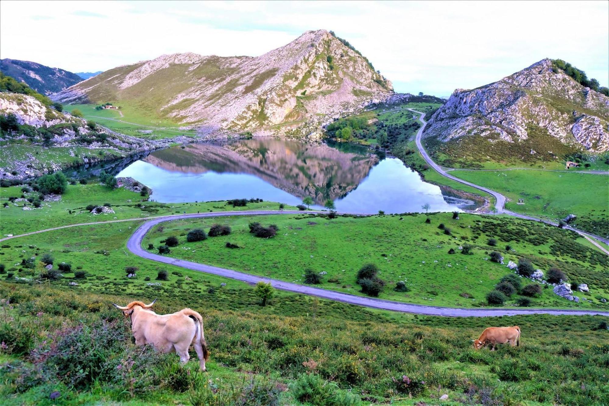 Navés Casa Vacacional Gerpe II 빌라 외부 사진